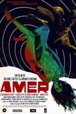 Amer (2009)