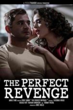 The Perfect Revenge (2026) The Perfect Revenge (2026)