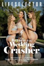 The Return of the Wedding Crasher (2026)