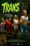 Transed (2026) Transed (2026)